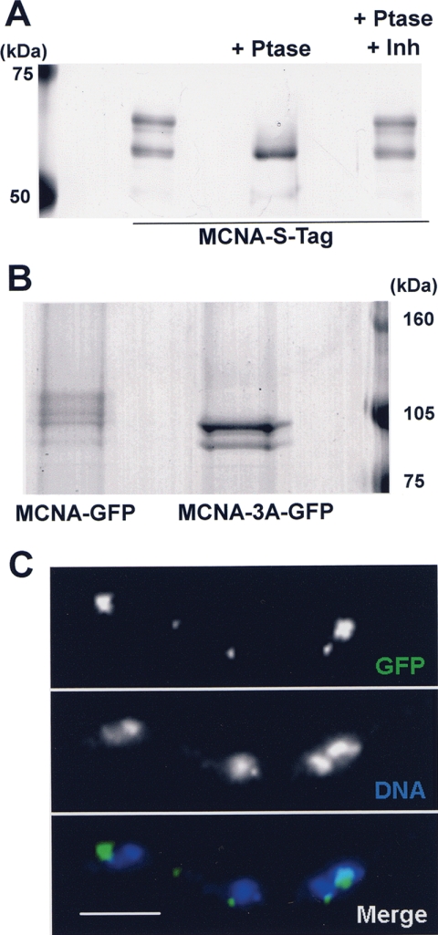 FIG. 9.