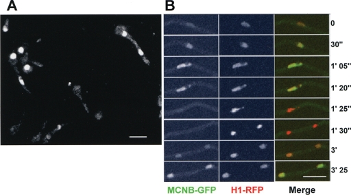 FIG. 5.