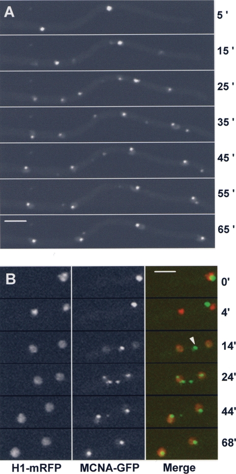 FIG. 7.