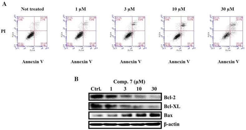 Figure 5