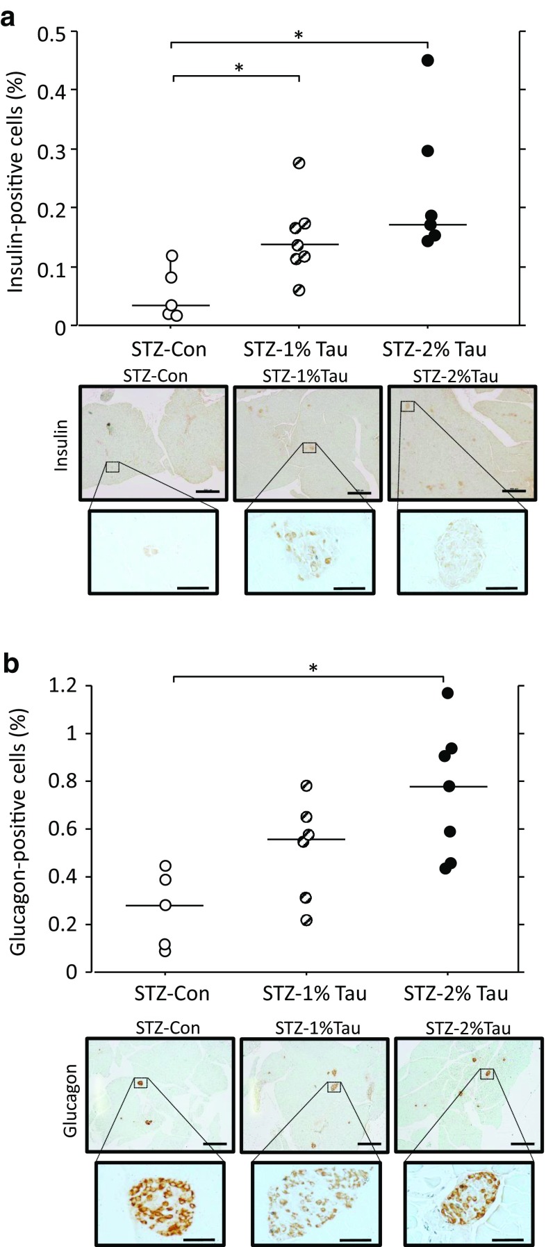 Fig. 6