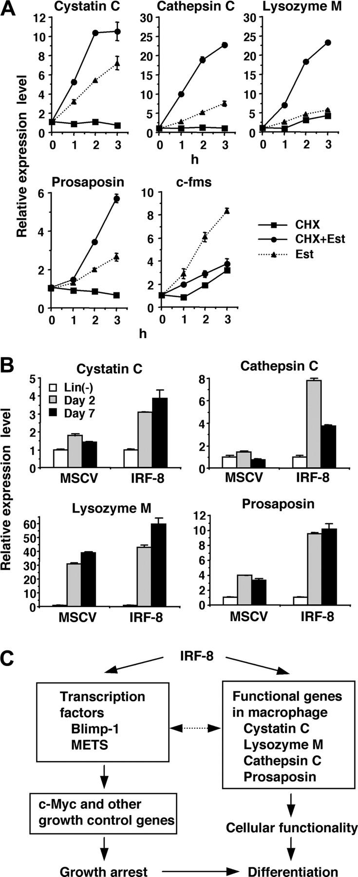 Figure 3.