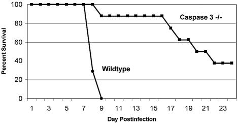 FIG. 8.