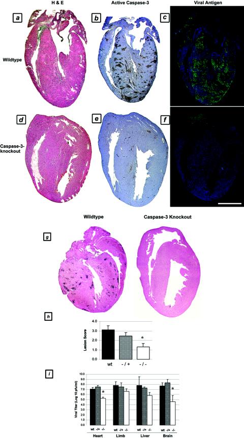 FIG.7.