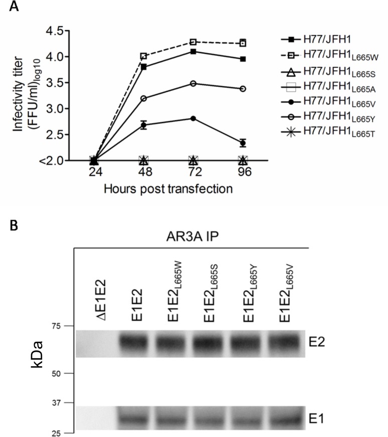 Fig 8