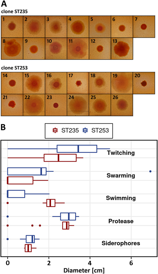 FIG 3