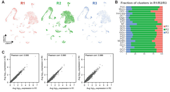 Figure 2—figure supplement 1.