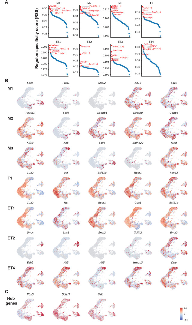 Figure 5—figure supplement 1.