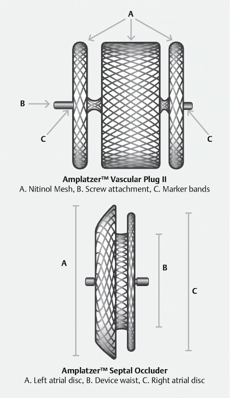 Fig. 1