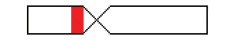 graphic file with name comparative_cytogenetics-15-413-i001.jpg