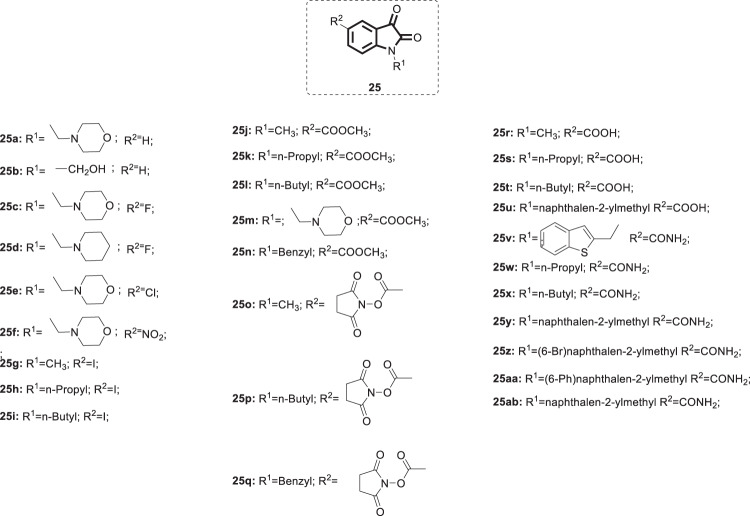 Fig. 25