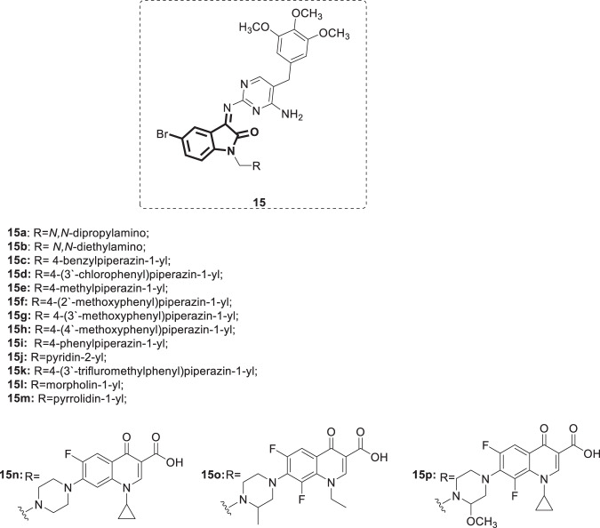 Fig. 13