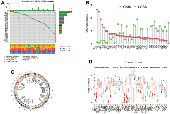 Development of tryptophan metabolism patterns to predict prognosis and ...