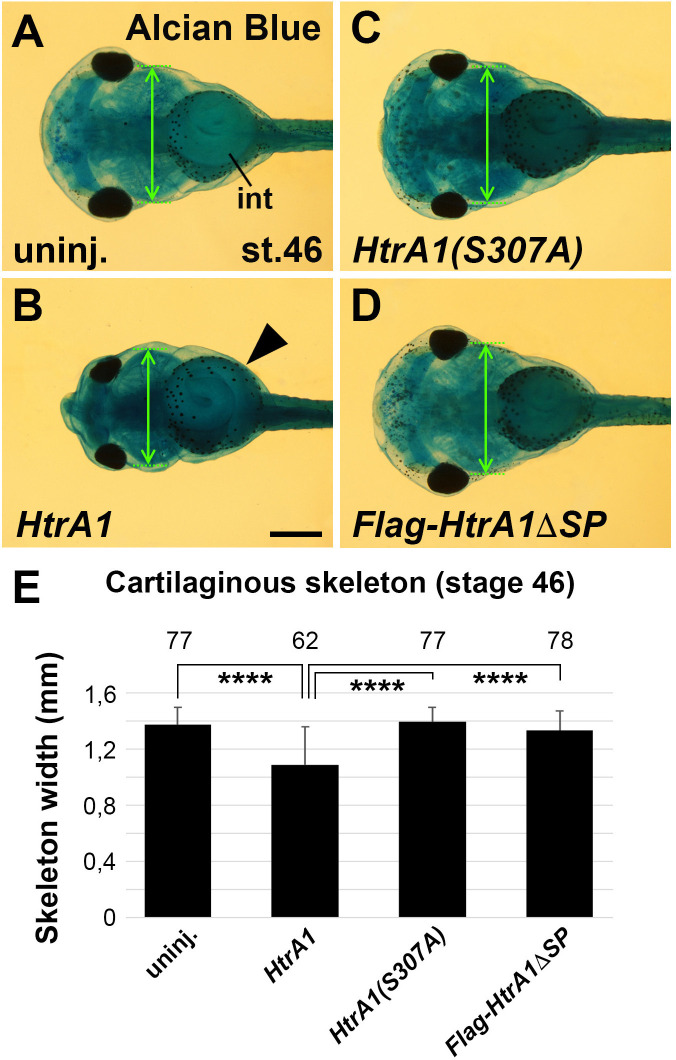 Figure 4—figure supplement 1.