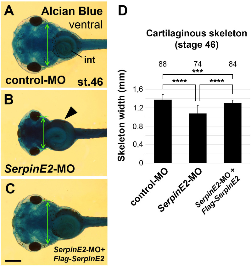 Figure 4—figure supplement 2.