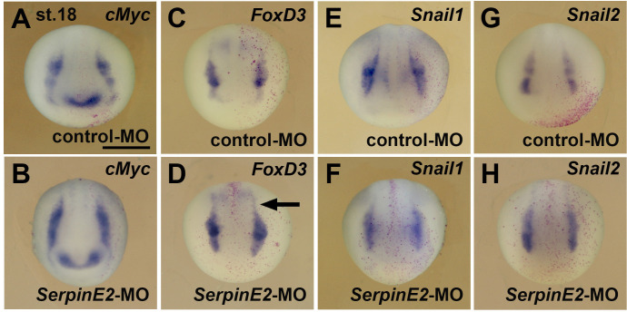 Figure 2—figure supplement 1.