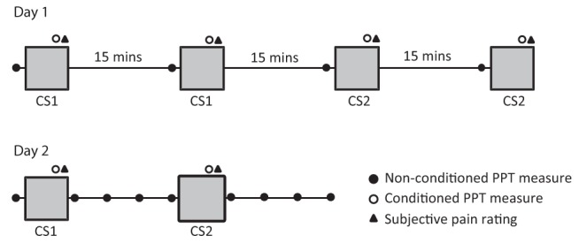 Figure 2)