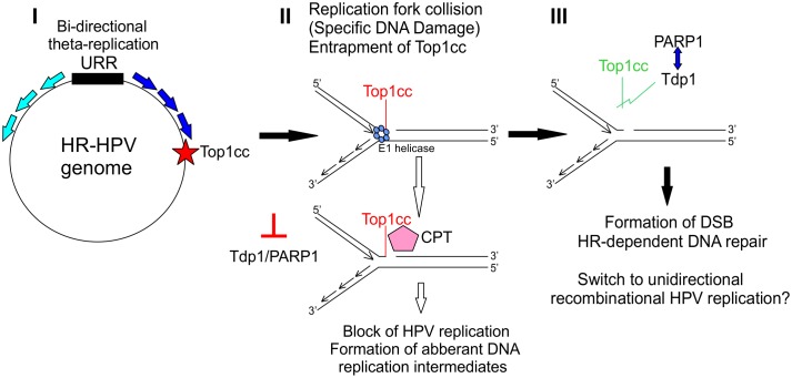 Fig 8