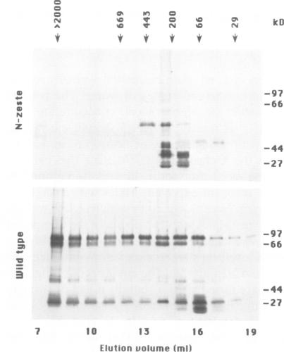 Fig. 8.