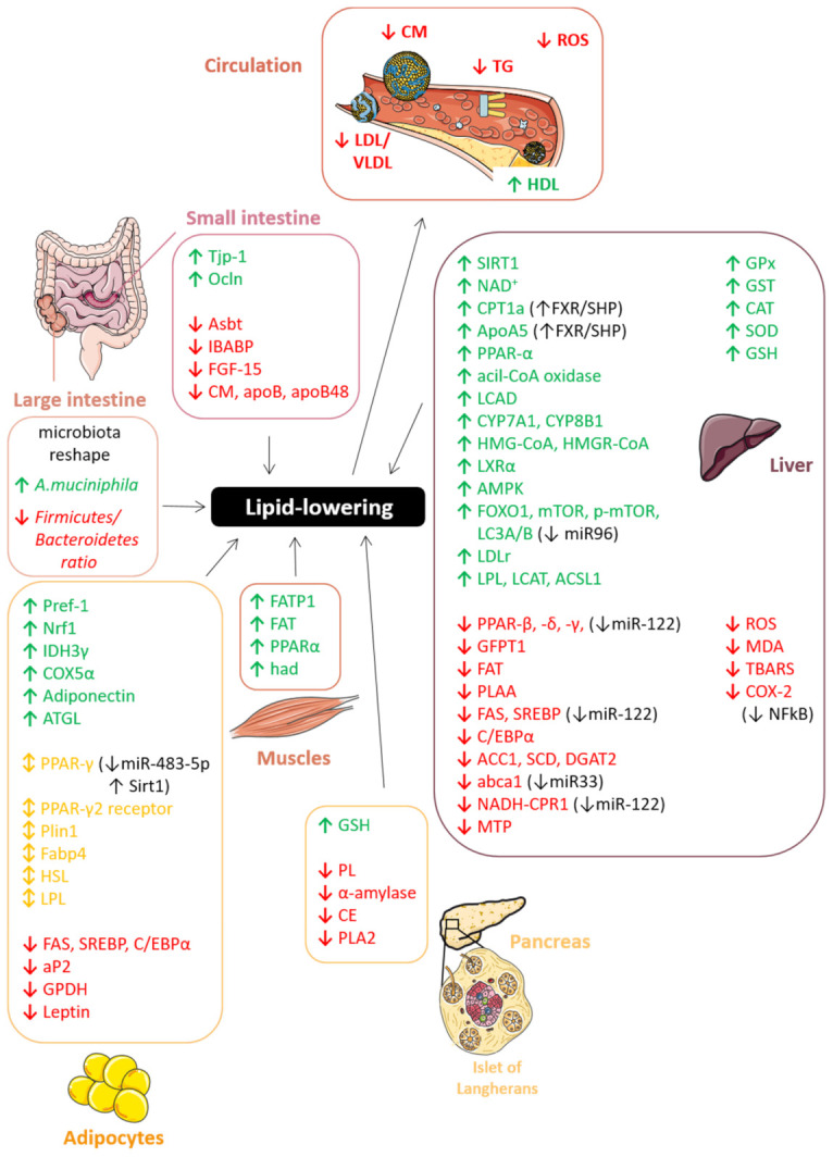 Figure 17