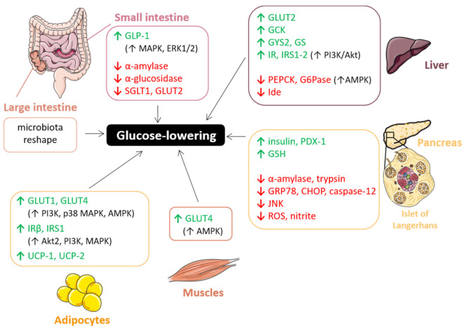 Figure 15