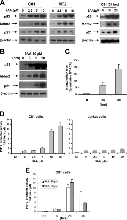 FIG. 4.