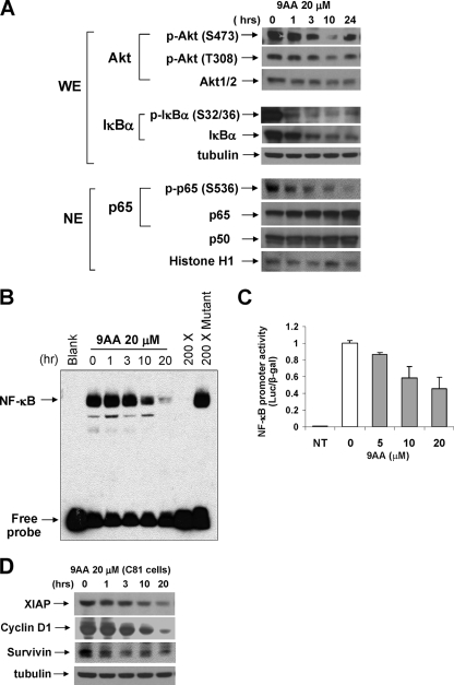 FIG. 5.