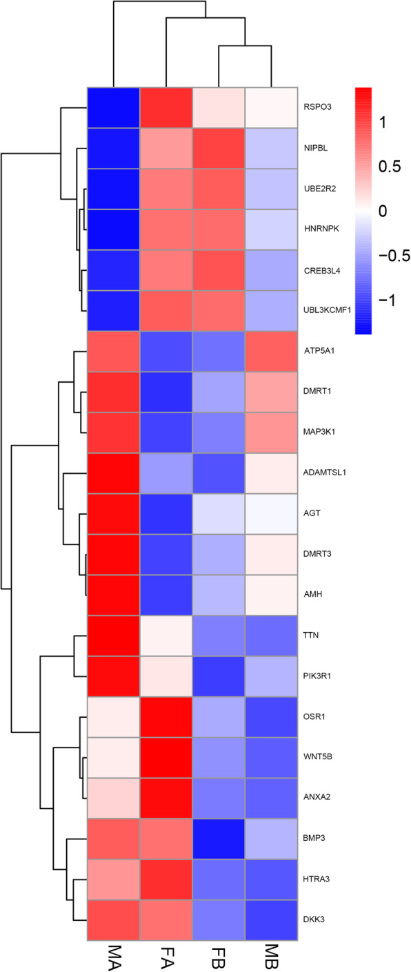 Fig. 7