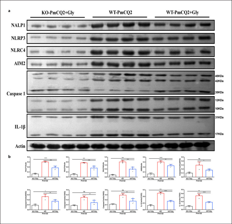 Fig. 6