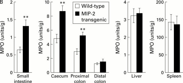 Figure 2  