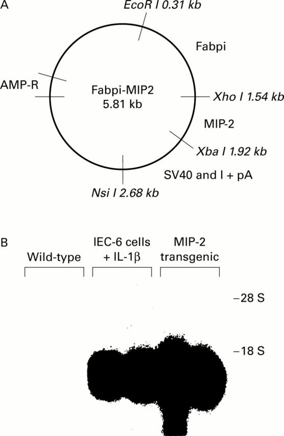 Figure 1  