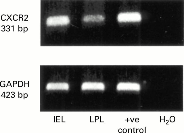 Figure 6  