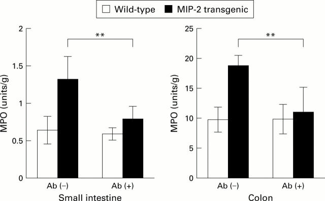 Figure 3  