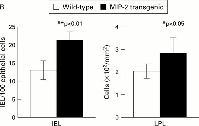 Figure 4  