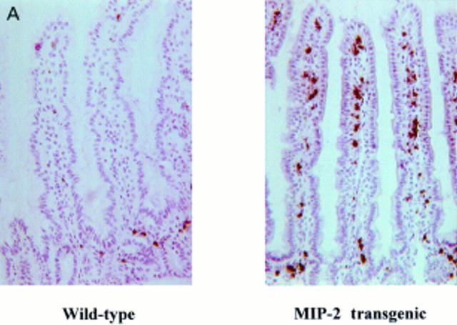 Figure 2  