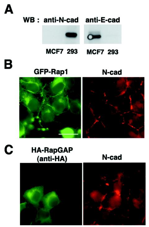 FIG. 7.