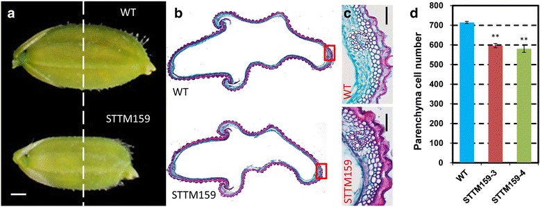 Fig. 5