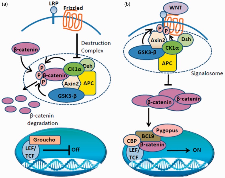 Figure 1.