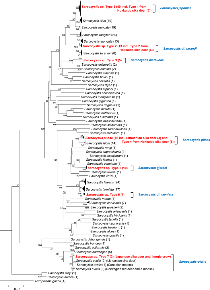 Fig. 1