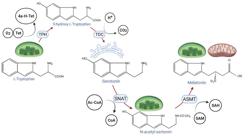 Fig. 3