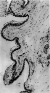 694-3