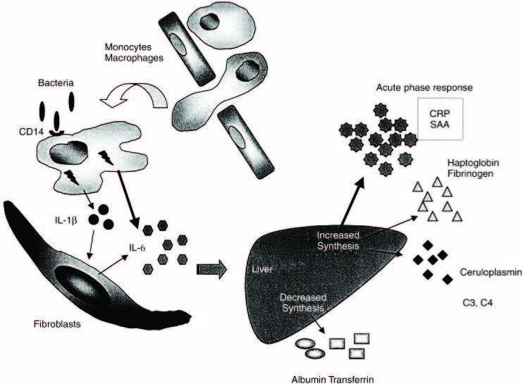 [Table/Fig-2]: