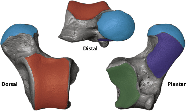 Figure 3