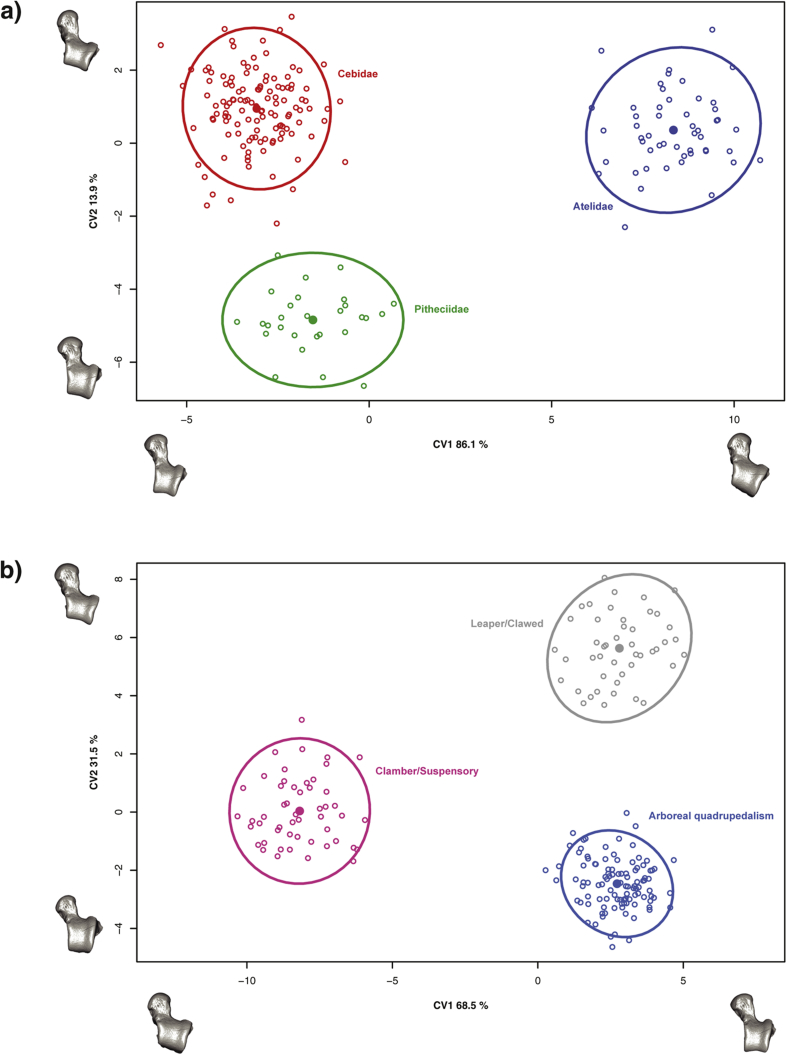 Figure 5