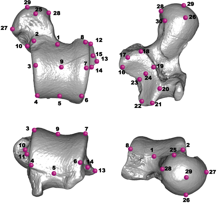 Figure 1