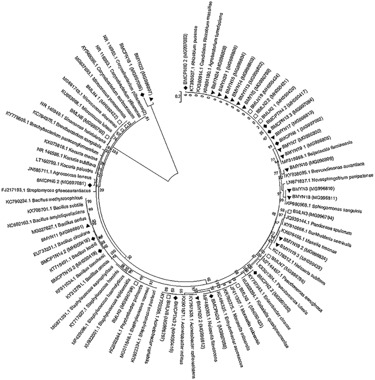 Figure 3