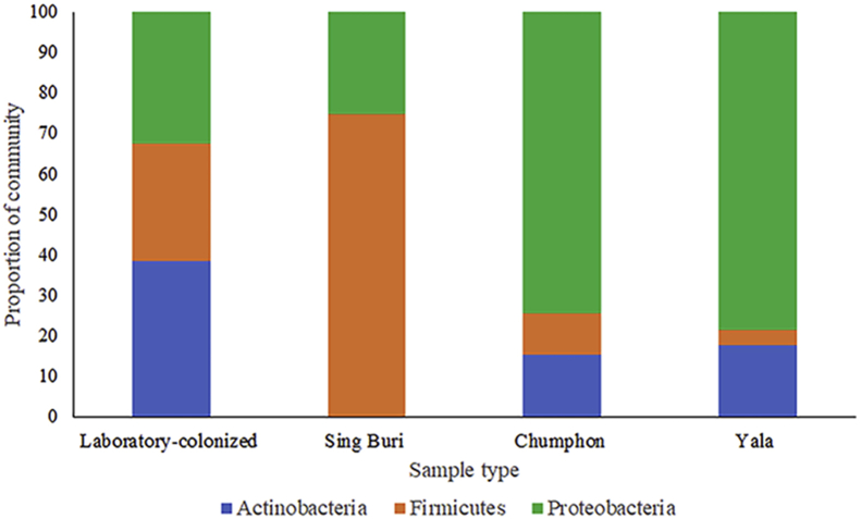 Figure 2