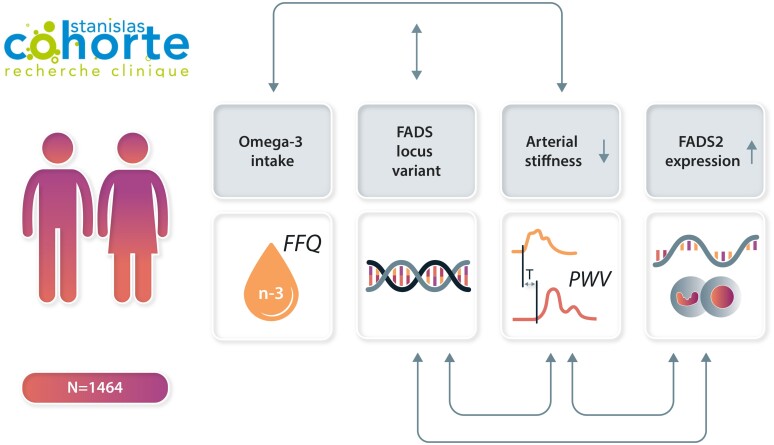 Graphical Abstract