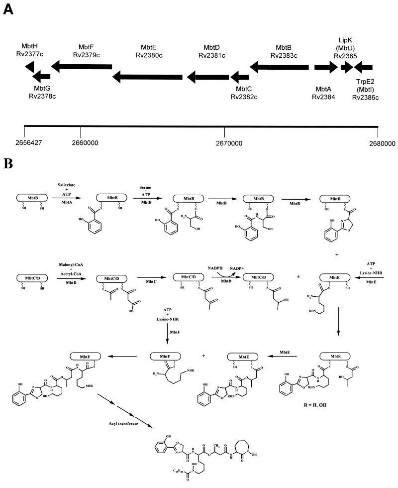 FIG. 4