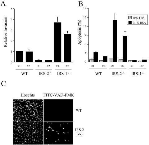 FIG. 7.